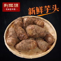 Jingwangyuan Shandong specialty farmers grow fresh hair taro taro 5 pounds of fragrant taro small taro
