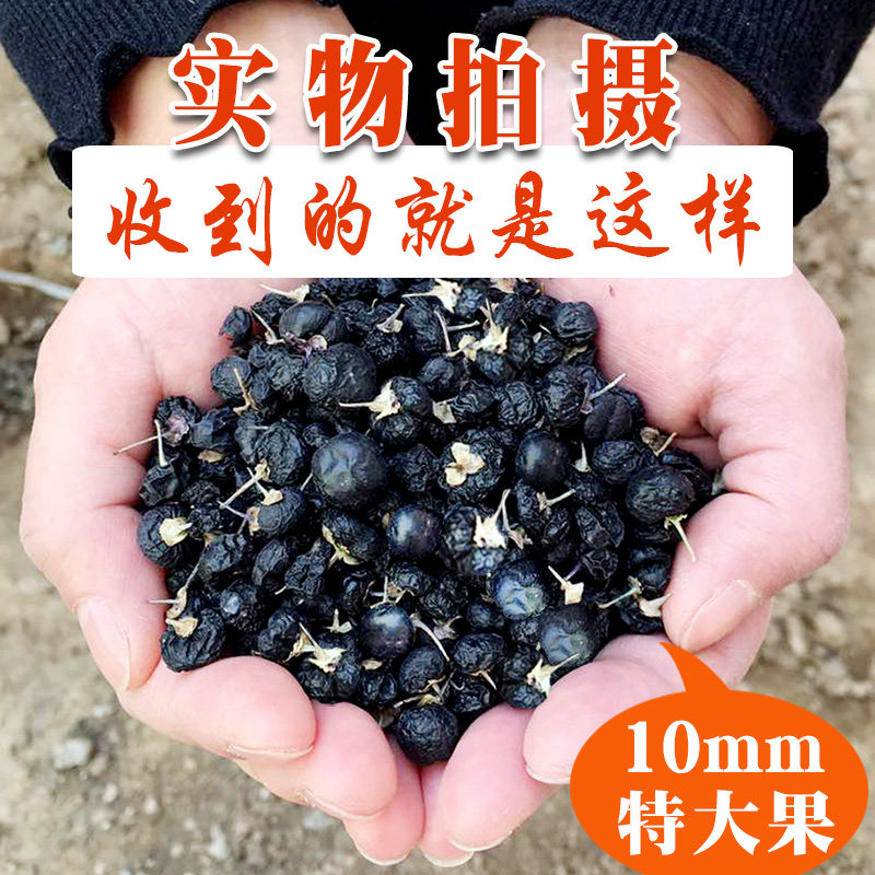 Black Medlar Special Grade Great Fruits Qinghai Special Production Wild Tectonian Black Dog Gou China Xinjiang Ningxia Official Flagship Store