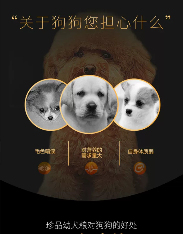 Thức ăn cho chó của kho báu 10kg Thức ăn cho chó con Bánh sữa Teddy Bomei Golden Retriever General Treasure Ganoderma Lucidum 20kg Thức ăn cho chó trưởng thành - Chó Staples