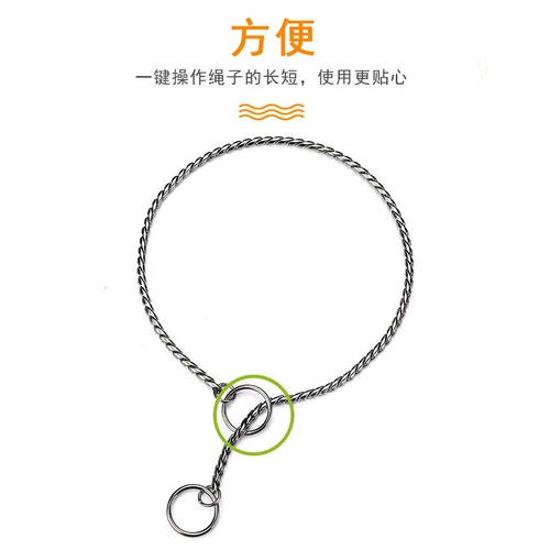 Dog P Цепное кольцо кольца большие собаки и домашние животные с собаками, собаки, собаки, тренирующие собаки, кольца, германская гриба, гонка собаки, гонка, змеиная цепь