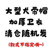 Big Dog Hoodie Random+Red Overvelope (впервые выпущен в новом году)