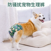 Физиологические штаны Cat Eagle Button