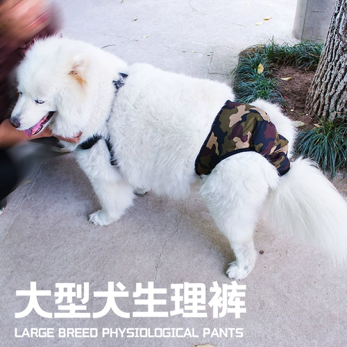 Физиологические штаны для мальчика Собака