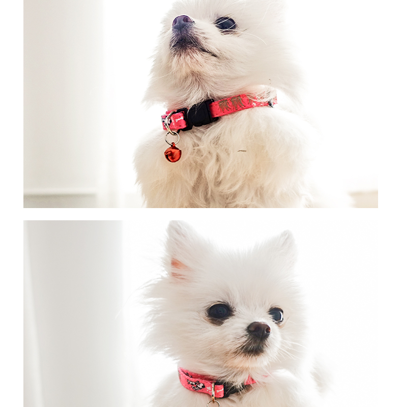 Flea ring dog cung cấp ngoài 蚤 cat dog dog dog ring bên ngoài tẩy giun Teddy để ngăn chặn bọ cạp chuông mèo - Cat / Dog hàng ngày Neccessities Máng thức ăn cho chó