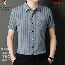 Woodpecker Summer New Burn-Free Mens Shirt Short Sleeve Business Anti-Wrinkle Half Sleeve Shirt Mid Youth Dad Bottling