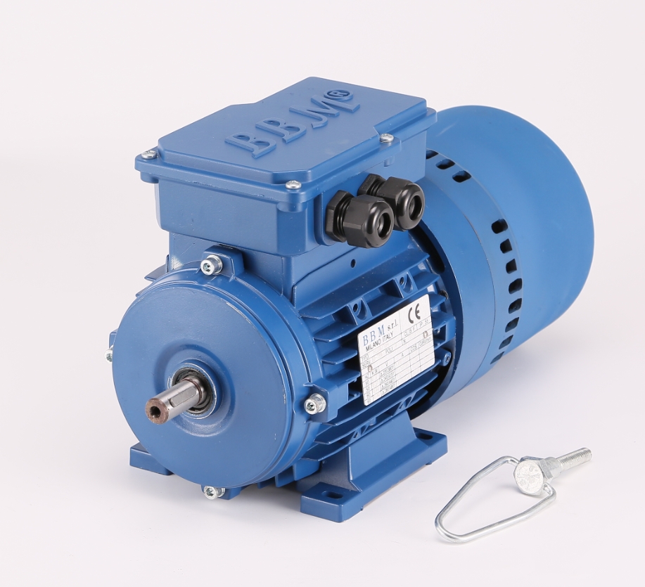 BBM Brake Motor Implanter Brake Motors 0 37KW Ceramic Brakes Motor Ultrasonic Cleaning Motor-Taobao