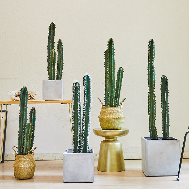 Nordic ins air volume sky ruler cactus column simulation green plant large cactus plant potted ornament interior decoration