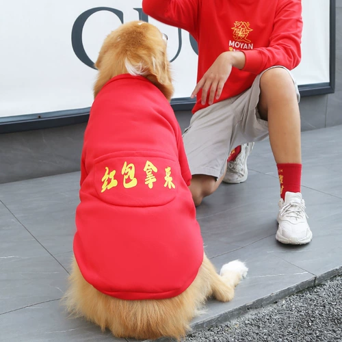 Одежда Big Dog Осенью и Зимние Золотой Рэй Самоед