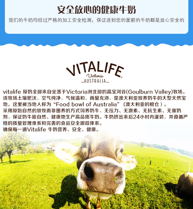 澳大利亚进口 维纯 VITALIFE 全脂纯牛奶 250ml*24盒 图13