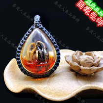 Thailands Buddhist brand Thailand genuine fruit claw pendants
