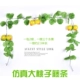 Mô phỏng trái cây mây lá nho lá xanh lá cây trần trang trí ống nhựa cây nho vòng hoa nho - Hoa nhân tạo / Cây / Trái cây