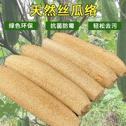 Natural Loofah Sponge Dishwashing Kitchen Scrubber Oil-Absorbing Cleaning Brush Scouring Pad Handy Gadget Loofah Pulp thickened