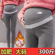 Spring Autumn Gestation Woman Dress Plus Hypertrophy Yard pure cotton loose with lean and elastic beating underpants Totbelly trousers small leggings 200 catty