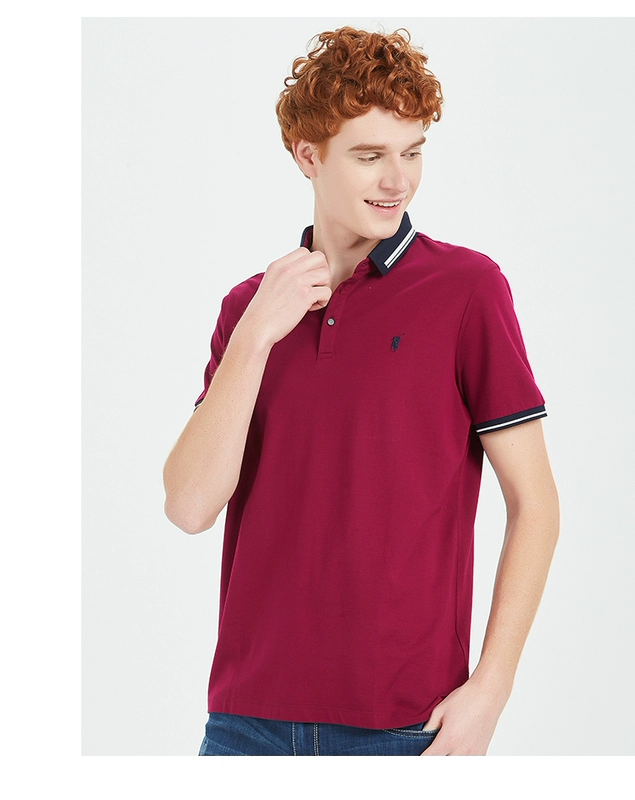 Áo thun thể thao nam Polo Áo sơ mi công sở mùa hè giản dị thêu ve áo màu rắn Áo thun nam ngắn tay áo polo - Polo áo thun nam có cổ hàng hiệu