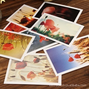 Clearance Special Yuehe Flower Series - Poppy Poppy Postcards 8pcs
