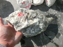 1910333 Jade raw material bare stone natural rough Qinghai Kunlun jade mountain material Qingbai jade 2 2 kg