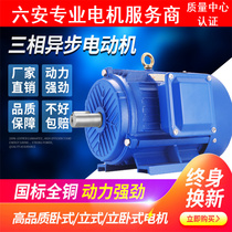 45 three-phase asynchronous 132 motor 185 motor 200 frequency conversion 220kw kilowatt 160 speed regulation electromagnetic brake 250