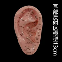 Модель ушей 13 см