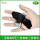 Mô phỏng đại bàng mềm cao su nhúm quả trứng sống mẫu giáo đại bàng bắt gà đạo cụ giáo dục mầm non đồ chơi mô hình động vật - Đồ chơi gia đình