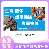 Express label fresh live considerate spot little Superman fruit sticker fresh live thoughtful Express