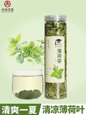 Xinglin Caotang Flower Tea Peppermint Leaf Dry Peppermint Tea Mint Leaf Tea Chewing Fresh herbal tea for drinking