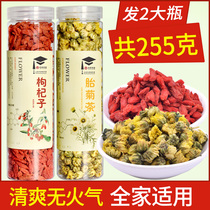 Xinglin Caotang health herbal tea Wolfberry chrysanthemum tea combination Wolfberry chrysanthemum leaves hangbai tea drink