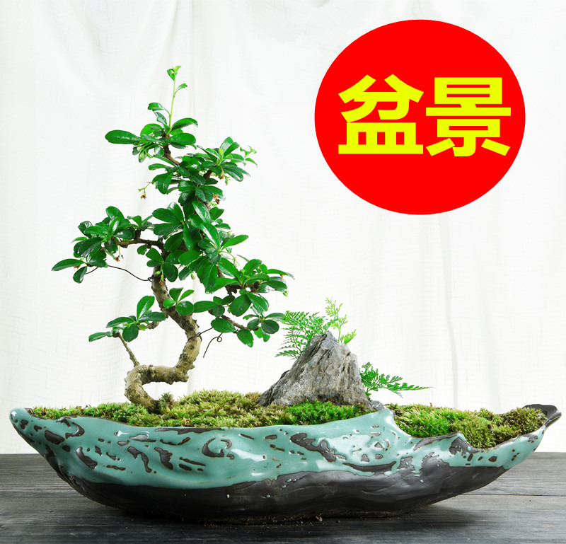 Pot pot pot pot pot porcelain ceramic purple sand creative rectangular Chinese feng green pot pot pot, palace, gray
