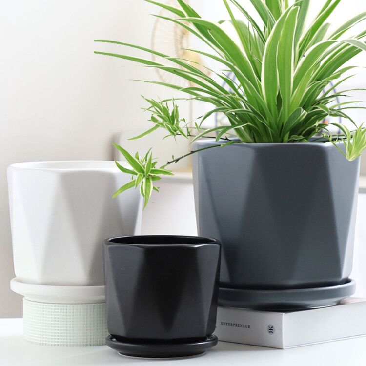 Flower pots Ceramic white minimalist light Black Ribbon Nursery Nordic Style Creative Gold Gross Green Plant Large number of small flower pots