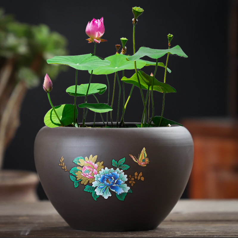 Purple Sand No Kong Water Bacon Flower Pot Ceramic Special Price Idea Sleeping Lotus Bowl Lotus Water Fairy 1-leaf lotus gold Ge copper money herbal tea wash