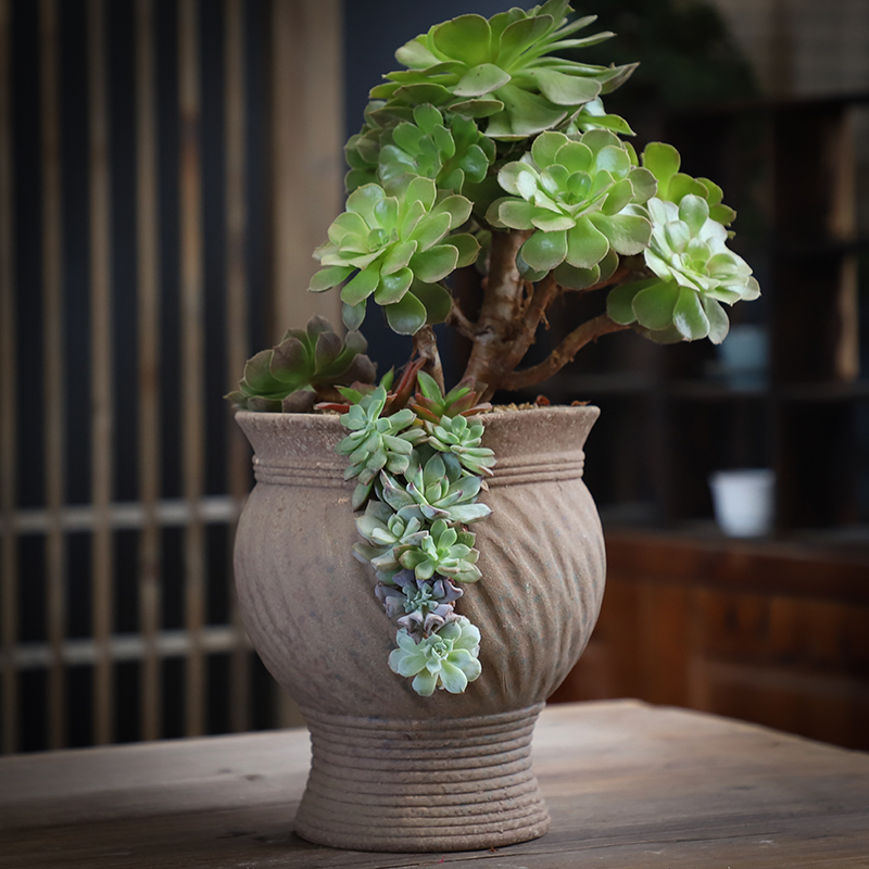 Old pile flowerpot high pot gap special clearance creative personality fleshy plant retro large coarse pottery fleshy flowerpot