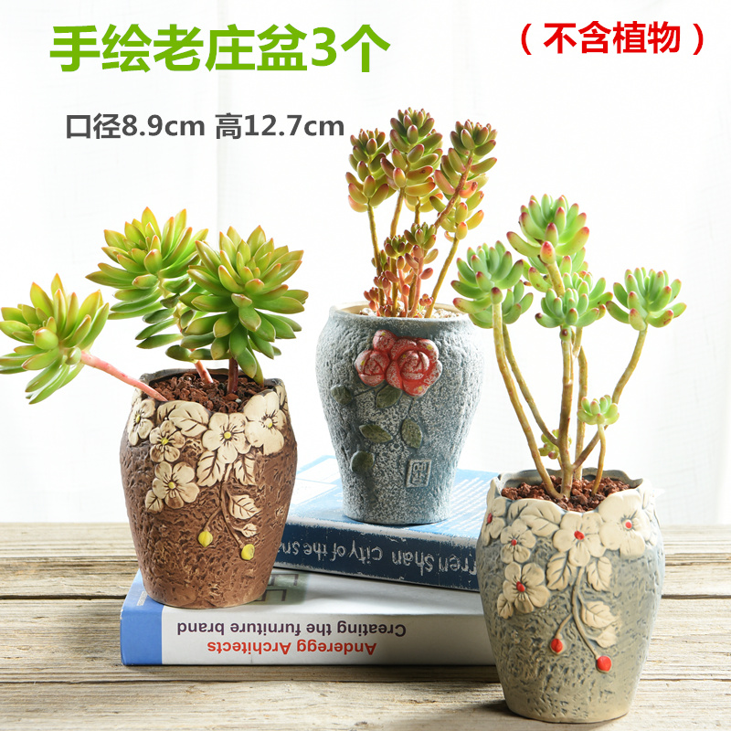 Old running the pot clay ceramic retro zhuang zi mage, coarse pottery creative move meat meat large fleshy flower pot the plants