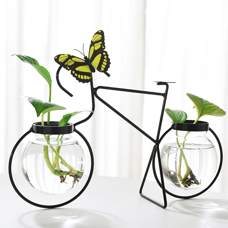 Hydroponic transparent glass flowerpots creative personality Gold Ge without Convent price clear cabin Multi meat copper Money grass hydroponic small vase