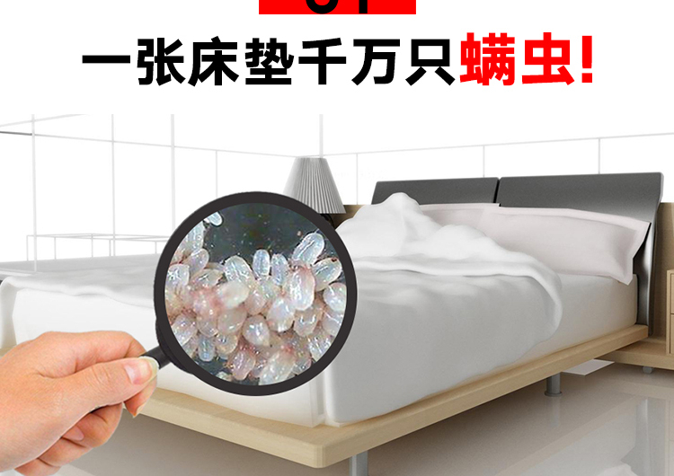 Man Ting Green Pepper Loại bỏ Aphid Spray Chất lỏng không diệt khuẩn Bộ đồ giường gia đình Giặt vật nuôi chống bụi - Thuốc diệt côn trùng bình xịt côn trùng giá