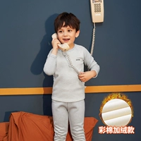 Полосатый пепел [цвет хлопок плюс бархатный утолщение]