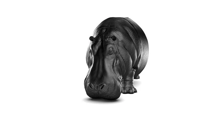 JuLanMake nội thất thiết kế ban đầu HIPPOPOTAMUS CHAIR ghế hà mã FRP ghế phòng chờ - Đồ nội thất thiết kế