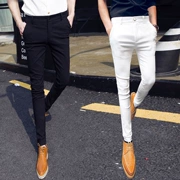 Xu hướng tinh thần quần âu phiên bản Hàn Quốc của người xã hội Slim net màu đỏ với quần nam kiểu tóc chân quần - Quần làm việc