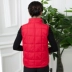 Phụ nữ trung niên và người cao tuổi đứng cổ áo vest mùa thu và mùa đông mẫu mẹ mặc áo vest cotton xuống áo vest cotton không tay áo khoác nữ - Áo vest