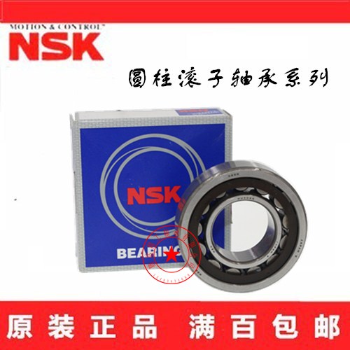 Imported NSK NU1005 1006 1007 1008 1009 1010 EW EM C3 Cylindrical Roller bearings
