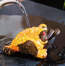 Golden toad tea play tea pet opened Wangcai TV company All copper evil spirits King-size pet entrance water tea table