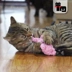 Earth Cat Pet Creative Pet Toy Cắn Mèo Toy Molar Răng Mèo Dog Toy Handmade Cotton Rope Dệt