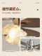 Used Fan Light for Bedroom and Dining Room, Bauhaus American Retro Integrated High-Wind Fan Light, 2026 New Model Electric Fan