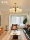 Medieval-Style Living Room Chandelier, American Retro, Eye-Protecting, Personalized Art, High-End 3D Printed Petal Hall Lighting