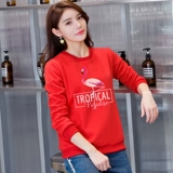 Тонкая хлопковая толстовка, демисезонный утепленный лонгслив для школьников, в корейском стиле, оверсайз, большой размер