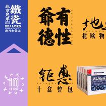 10 Boxes Norwegian BP Nordic Orange Blueberry Anthocyanin Biopharma Student Kids Lutein Tablets