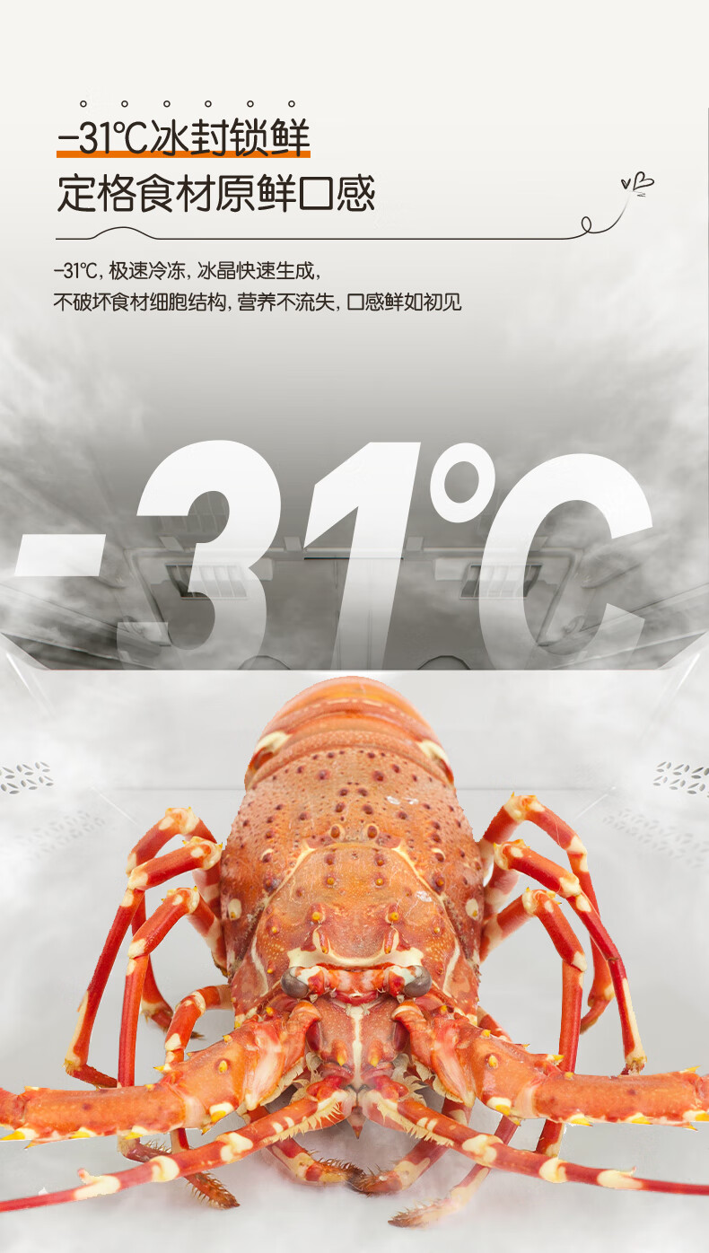 容声冰箱多门法式BCD-501N40FZGAX