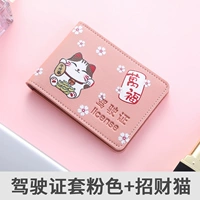 Водительские права обложки Pink+Fortune Cat