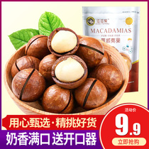 Creamy macadamia nuts casual snacks roasted dried fruit specialties bulk 500g new casual snacks