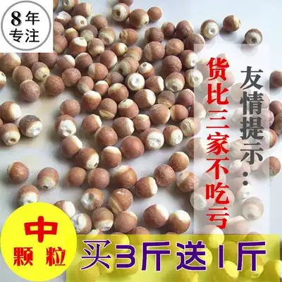 Buy 3 get 1 free Holt gorgon dry goods 500g medium round grain red skin chicken head rice inferior to real Zishi farm-produced