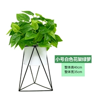 Маленькая белая цветочная подставка+зеленый луо Луо