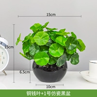 Медная монета лист+№ 1 Имитационный фарфор черный бассейн